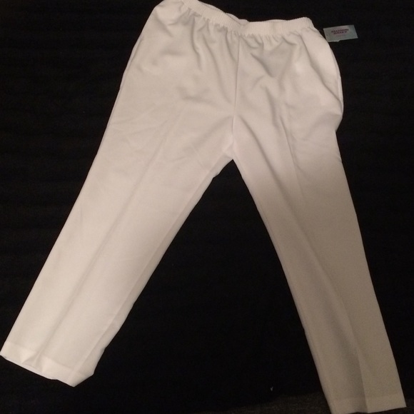 🆕 Allison Daley Pull On Pants - Picture 4 of 8